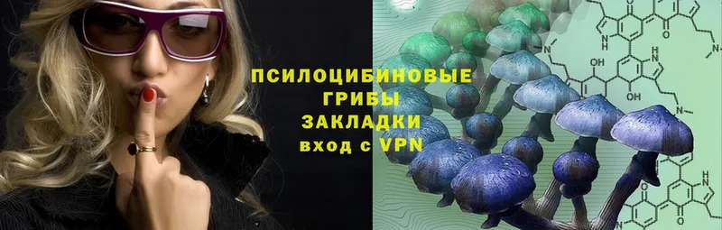 Галлюциногенные грибы Psilocybe  Анапа 